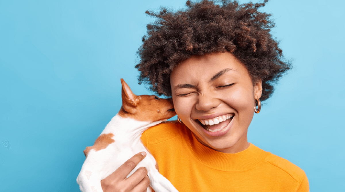 8 Effective Tips for Taking Care of a Puppy