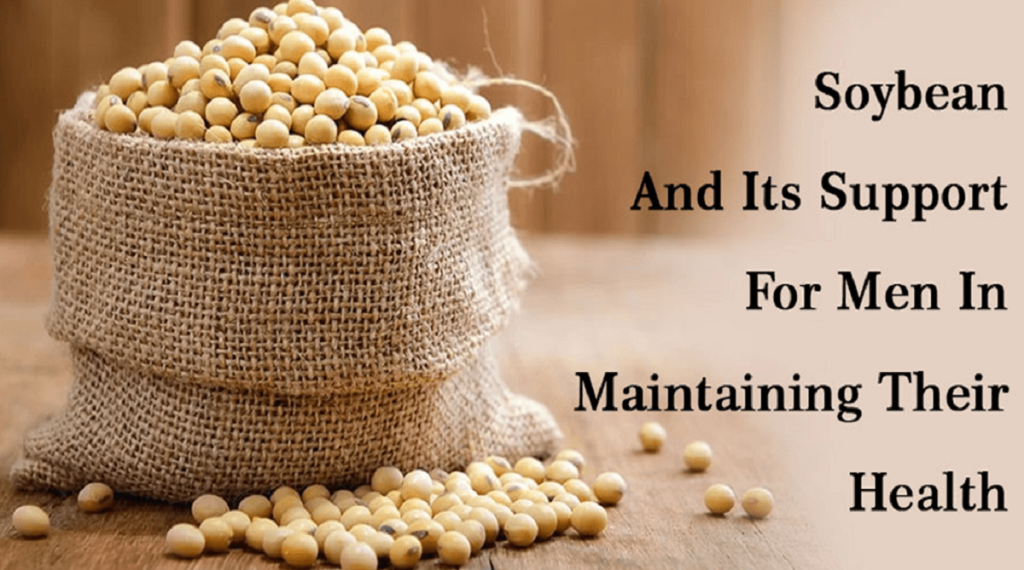 Soybean And Its Support For Men In Maintaining Their Health Daily Usa Guide 2131