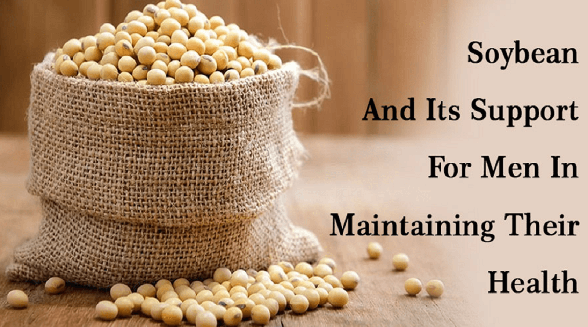 Soybean And Its Support For Men In Maintaining Their Health